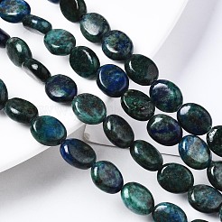 Natürliche Chrysokolla und Lapislazuli Perlen&nbsp;G-N330-031