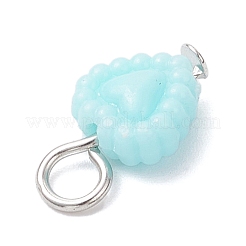 Opake Acryl Anhänger&nbsp;PALLOY-JF04351-01