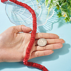 1 brin de perles de coquillages d'eau douce naturels&nbsp;SHEL-TA0001-35C
