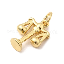 Messing Anhänger & Charms&nbsp;KK-I364-26G