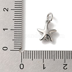 Porte micro ouvrent pendentifs zircone cubique en laiton de placage&nbsp;KK-U027-09-01P