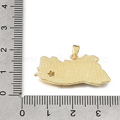 Colgantes de esmalte de latón&nbsp;KK-C263-30C-G