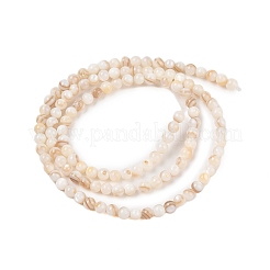 Hebras naturales de cuentas de concha de agua dulce&nbsp;X-SHEL-T011-02-3mm