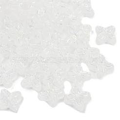 Smerigliato perline acriliche trasparenti&nbsp;OACR-P029-09B-05