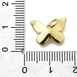 Messing Emaille Anhänger / charms&nbsp;KK-Z093-07G-02