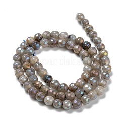 Perline labradorite naturale fili&nbsp;G-G723-01D