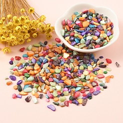 50 g gefärbte natürliche Süßwasser-Muschel-Chip-Perlen&nbsp;BSHE-YW0001-04