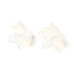 Transparentes bouchons acrylique de perles&nbsp;OACR-A020-01