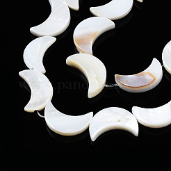 Naturali di acqua dolce perline shell fili&nbsp;SHEL-Q024-015A