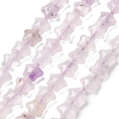 Natürlichen Amethyst Perlen Stränge&nbsp;G-Z080-A24-8mm