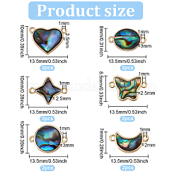 12 Stück 6 Stile Paua Muschel Verbinder Charms&nbsp;FIND-FH0007-96G