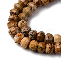 Cuentas de jaspe imagen natural hebras&nbsp;G-P587-D12-02
