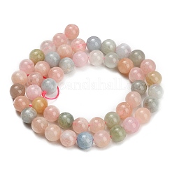 Naturperlen Stränge morganite&nbsp;GG-G476-8mm-01