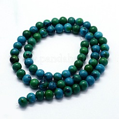 Perline Chrysocolla fili sintetici&nbsp;G-I199-34-6mm