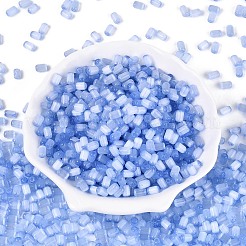 Perles de verre de style banc à étirer&nbsp;SEED-N008-10I