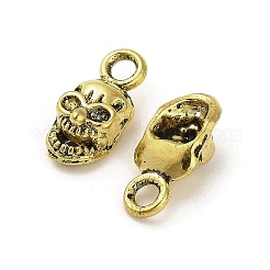 Pendentifs en alliage de style tibétain&nbsp;FIND-M047-10AG