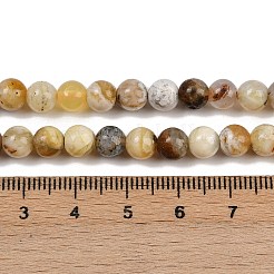 Giallo naturale perline opale fili&nbsp;G-G992-A02-B