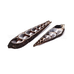 Pendentifs en coquillage de turritelle naturelle&nbsp;SSHEL-N042-25
