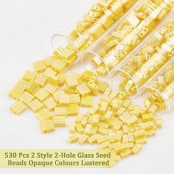 530 perline di semi di vetro a 2 fori in stile 2 pezzi&nbsp;SEED-NB0001-74