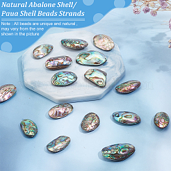 1 Strang natürliche Abalone-Muschel/Paua-Muschelperlenstränge&nbsp;BSHE-BC0001-16