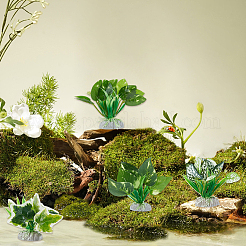 4 Stück 4 Arten von Seegras-Displaydekorationen aus Kunststoff&nbsp;DJEW-GF0001-85