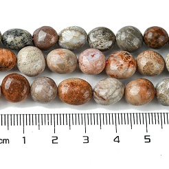 Natürlichen fossilen Korallenperlen Stränge&nbsp;G-G117-A01-02