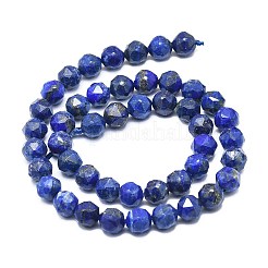Natürlicher Lapislazuli Perlenstränge&nbsp;G-F715-006