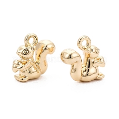 Aluminium Anhänger & Charms&nbsp;PALLOY-Q464-05KCG