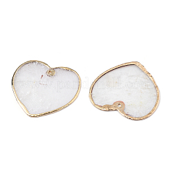 Natürliche Capiz Shell Anhänger&nbsp;SSHEL-N034-130A-01