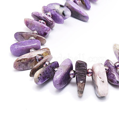 Naturperlen Stränge charoite&nbsp;G-E569-O03