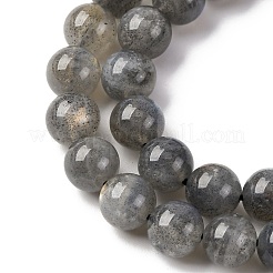 Chapelets de perles en labradorite naturelle &nbsp;G-H326-01-8mm