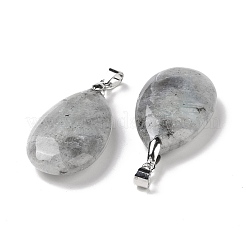 Natur Labradorit Anhänger&nbsp;G-D084-01P-B22