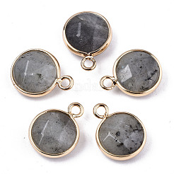 Ciondoli gemstone&nbsp;G-T131-101