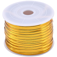 I lacci di plastica&nbsp;AJEW-CP0011-18