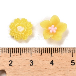 Cabochons décodés en résine lumineuse&nbsp;RESI-K036-05C