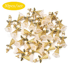 30pcs Acrylanhänger&nbsp;PALLOY-JF03902