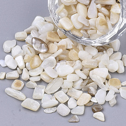 Süßwasser-Muschelperlen&nbsp;X-SHEL-S266-11