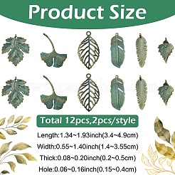 12pcs 6 estilos colgantes de aleación de estilo tibetano&nbsp;FIND-YW0011-52