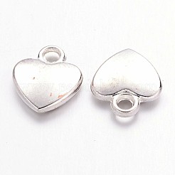 Charms in lega stile tibetano&nbsp;K08QL022