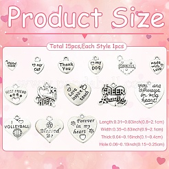 15 pièces 15 styles pendentifs en alliage de style tibétain&nbsp;FIND-YW0011-88