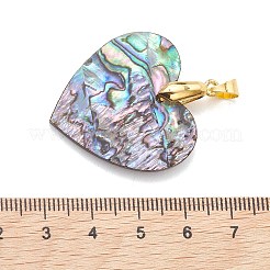 Natur Paua Muschel Anhänger&nbsp;PALLOY-JF05226-01