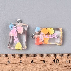 Pendentifs en résine transparente&nbsp;X-RESI-T056-06