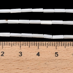 Natürlichen Süßwasser-Muschelperlen Stränge&nbsp;SHEL-C010-02B