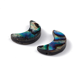 Natürliche Abalone-Muschel / Paua-Muschelperlen&nbsp;SSHEL-M021-08