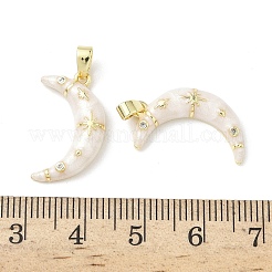 Colgantes de latón con micro pavé de circonita cúbica y esmalte.&nbsp;KK-Z134-13G-01