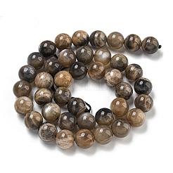 Naturelles perles de pierre de lune noir brins&nbsp;G-Q183-A01-02