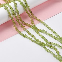 Natürlichen Peridot Chip-Perlen-Stränge&nbsp;G-G905-09