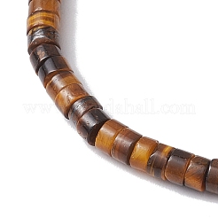 Natürliche Tigerauge und Perlen btacelets&nbsp;BJEW-JB10681-03