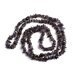 Naturperlen Stränge iolite&nbsp;G-D0002-C48