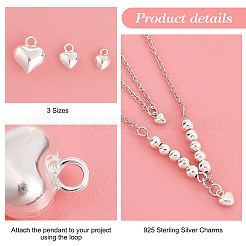 6 Stück 3 Stil 925 Sterling Silber Charms&nbsp;STER-PH0001-84